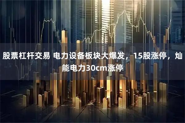 股票杠杆交易 电力设备板块大爆发，15股涨停，灿能电力30cm涨停