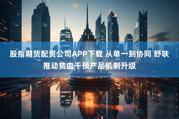 股指期货配资公司APP下载 从单一到协同 舒呋推动贫血干预产品机制升级