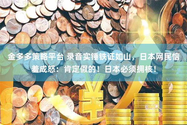 金多多策略平台 录音实锤铁证如山，日本网民恼羞成怒：肯定假的！日本必须拥核！